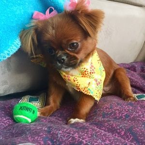 Meet your Posher, Raina